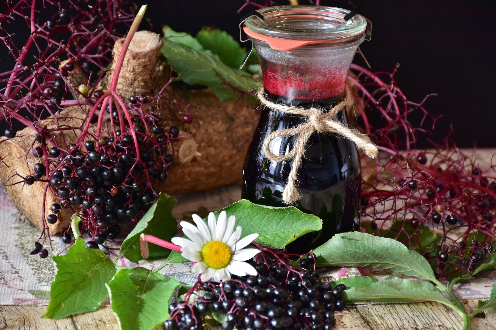 elderberry