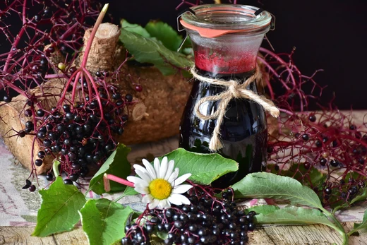 Health Benefits of Elderberries2